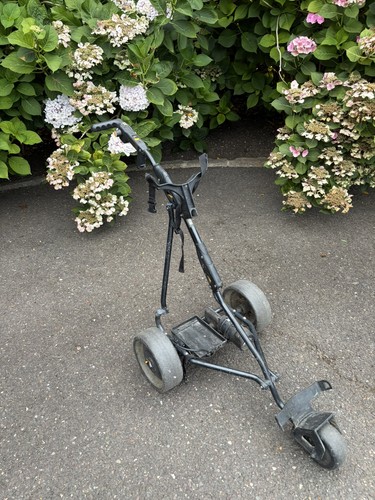 Powakaddy electric golf - electric,