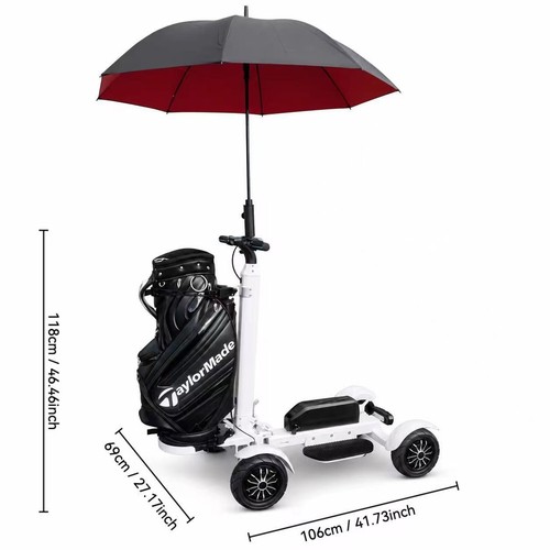 Stand electric golf buggy - stand,